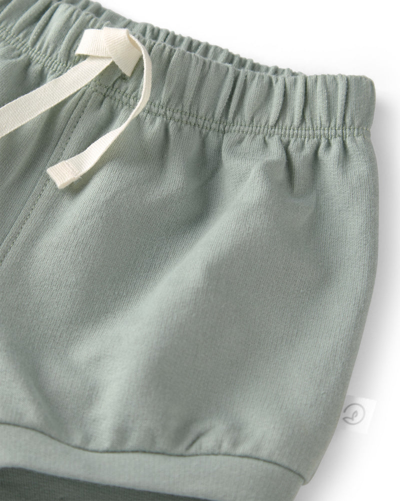 Baby Girl 2-Pack Organic Cotton Knit Shorts