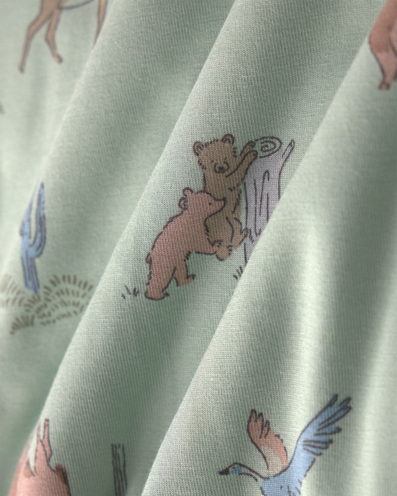 Toddler Boy 2 Piece Desert PurelySoft Snug Fit Pajama Set - Green