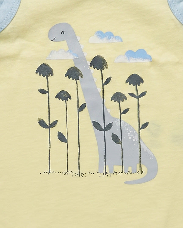 Baby Boy 3-Pack Organic Cotton Vest In Assorted Prints with Anti Microbial Finish