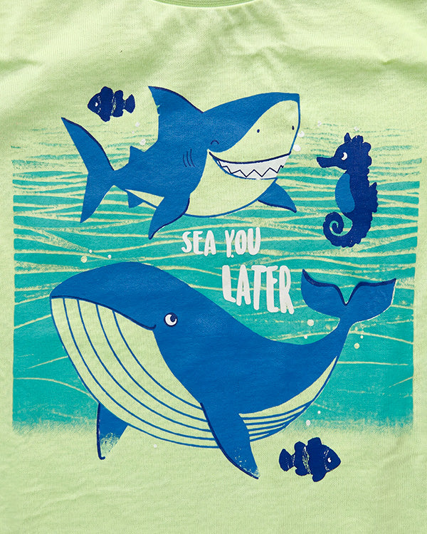 Baby Boy 3-Pack Organic Cotton Crew Neck T-Shirt With Assorted Prints