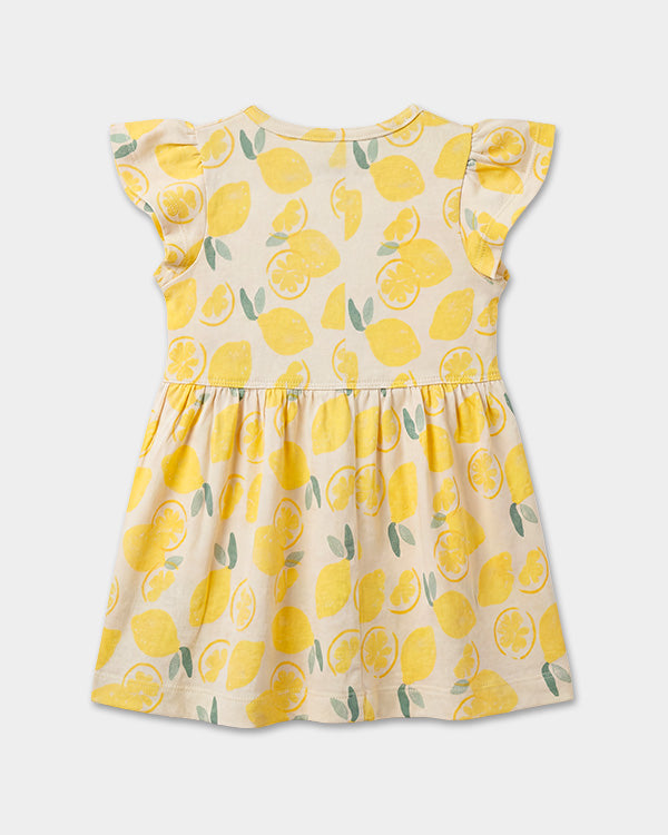 Baby Girl Organic Cotton Knitted Dress In Fruit Print