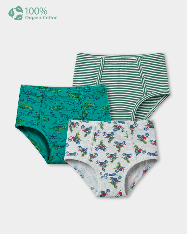Toddler Boy 3-Pack Organic Cotton Brief In Assorted Prints with Anti Microbial Finish