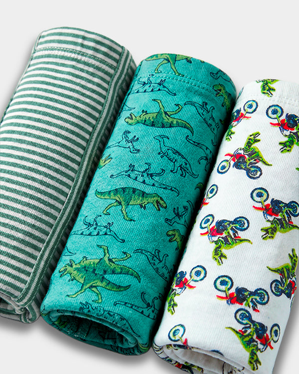 Toddler Boy 3-Pack Organic Cotton Brief In Assorted Prints with Anti Microbial Finish