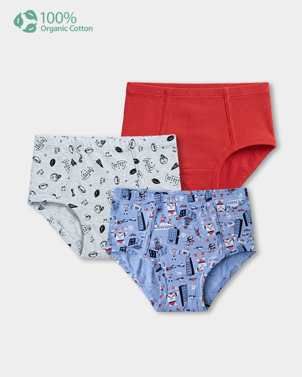 Toddler Boy 3-Pack Organic Cotton Brief In Assorted Prints with Anti Microbial Finish